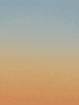 하이 유니버시티 1