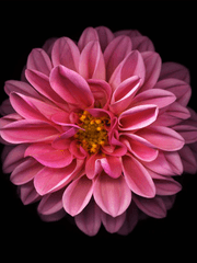 신비로운 지식창고