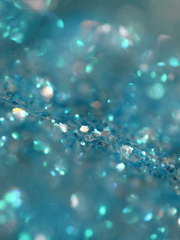 보라를 위한 변명