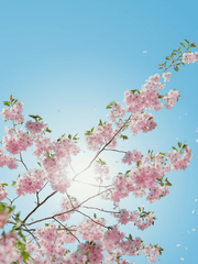 [고죠유지고죠/고죠른]  사토루 군과 함께!