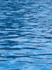 글러 50제 챌린지