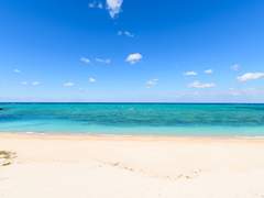 그럴 리가 없잖아