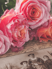 아무도 안시킨 거