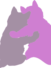 고양이가 이래도 돼?!