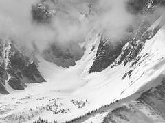 그래서 당신의 이름을 불렀어요