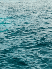 [주술회전]카스토르Castor