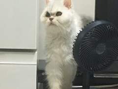 12월 15일 수요일 꿈