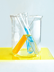 대학원은 뭘까?