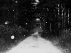 페어 테마 시 커미션