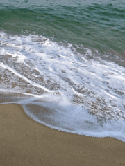 우리 언니 짝사랑하는 최찬희 짝사랑하기