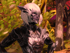 [In Agama’s Footsteps] [성선 아가마의 용맹함]