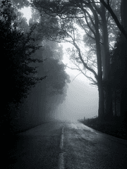 세로운 앤딩들 '나폴리탄 괘담"