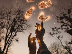 마법사와 제자 타로리딩