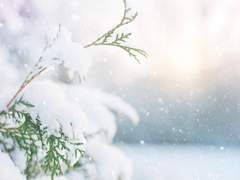 (몽키키드)snowy day