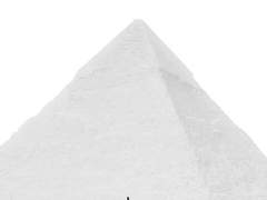 지구 최후의 존재