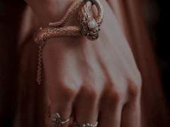 𝑪𝒉𝒆𝒔𝒉𝒊𝒓𝒆 𝑰𝒍𝒍𝒊𝒔𝒆𝒓