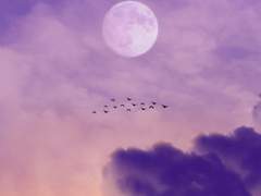 잠경위님이 아프다네요