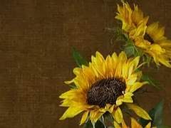 네 입술에 키스했어. 쓴 맛이었지. 피의 맛이던가?