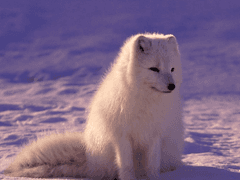 [단편]겨울이야기