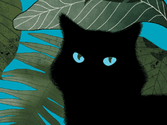 리리라 안코 / 18 / 한서고