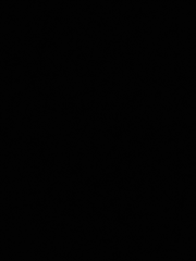 미완성 단편 소설 모음