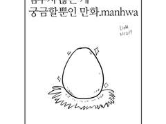 계란공급이 멈추지 않는게 궁금할뿐인 만화manhwa