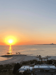 호주에서 생긴 일