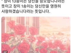 백망되/ 장미 13송이 : 당신을 증오합니다.