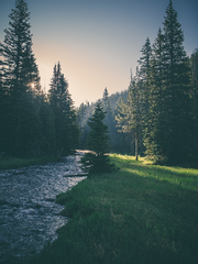 숲속 작은 정자에서의 다과회