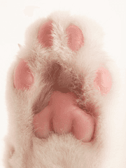 말랑말랑 단편 모음 zip