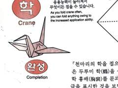 망돌혅재사기결혼 1