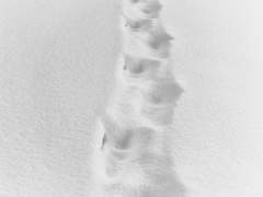 [스포도윤/수창도윤] 백지