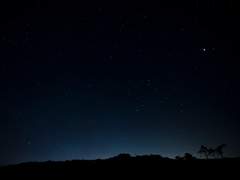 좋은 조언이었다는 걸,