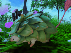 [Sweet Temptations] [아가보이데스 7마리]