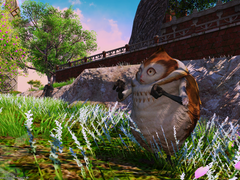 [Breaking the Eyes] [관찰 대상 노토스 666호]