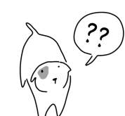 보통의 집/ 15화