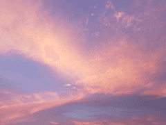 🌸머지않아 다다를 미래에게