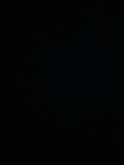 기반 자캐, 드림 프로필