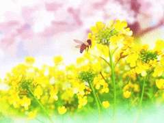 [익준송화] 뿌슝빠슝 익송로판 완결