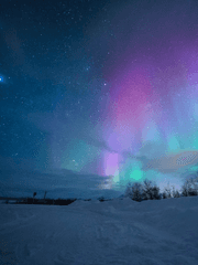 스승님의 손에 우리는 다 작살날지도 몰라