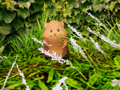 [Unresolved Mysteries] [장수하는 생물]