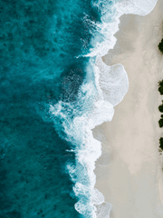 트위스테 아즐감