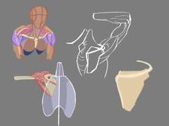 2021년 12월 18일 (토) <어깨>