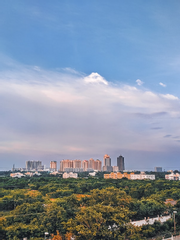 _ 프로젝트 세카이