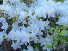 좋아하는 것에 대한 문답