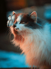 트친이 주는 첫마디