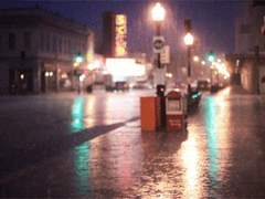 머릿속을 늘 空虛로 가득 채우고