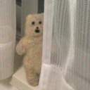 부비디바비디비