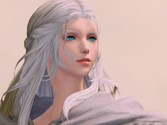 6.0 EN백업 EndWalker Part XIII.