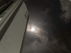 달의 바다엔 고래가 산다는 걸